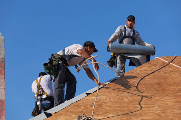 Roof Gutter Cleaning in Gravette, AR